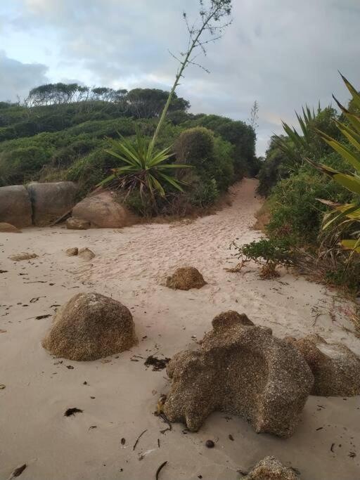 Apto 80M Da Praia Grande Vista Mar! Governador Celso Ramos Eksteriør billede